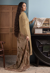 HumDum | D-02 | ZOUQ '25 WINTER